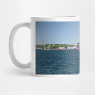 850_4745 Mug